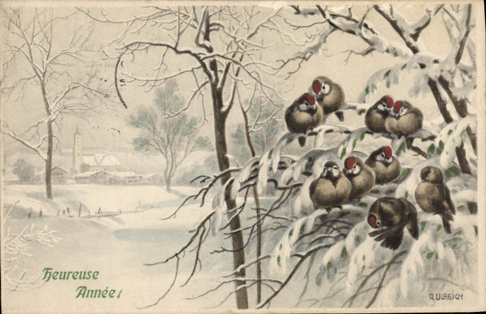 CPA Oiseaux 