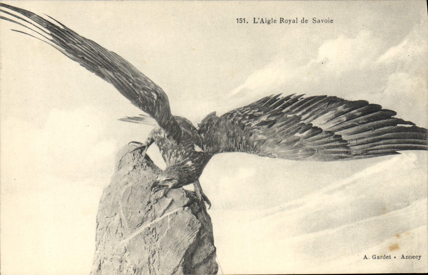 CPA L'aigle Royal de Savoie Rapace 