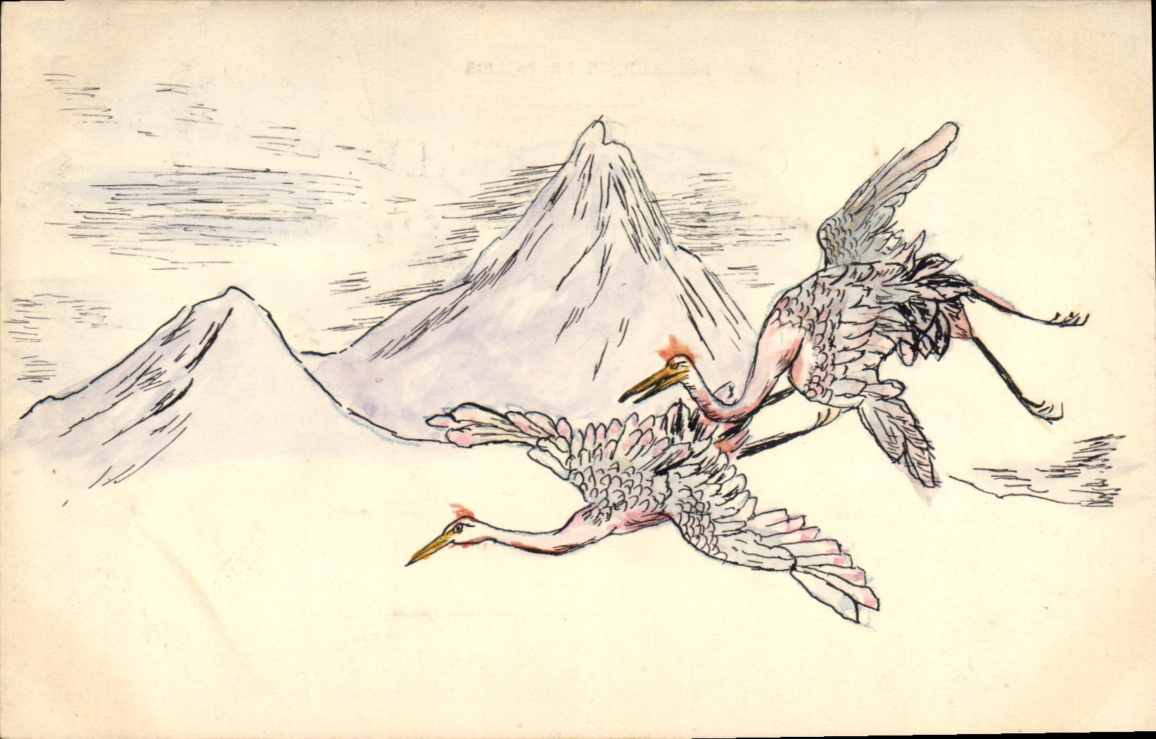 CPA Oiseaux 