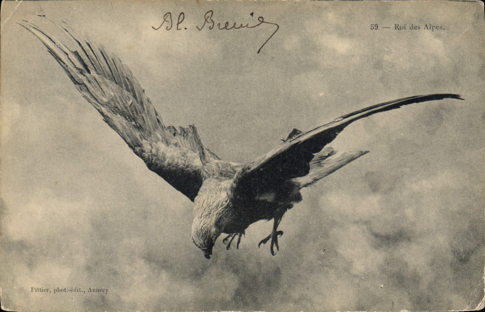 CPA Roi des Alpes Rapace 