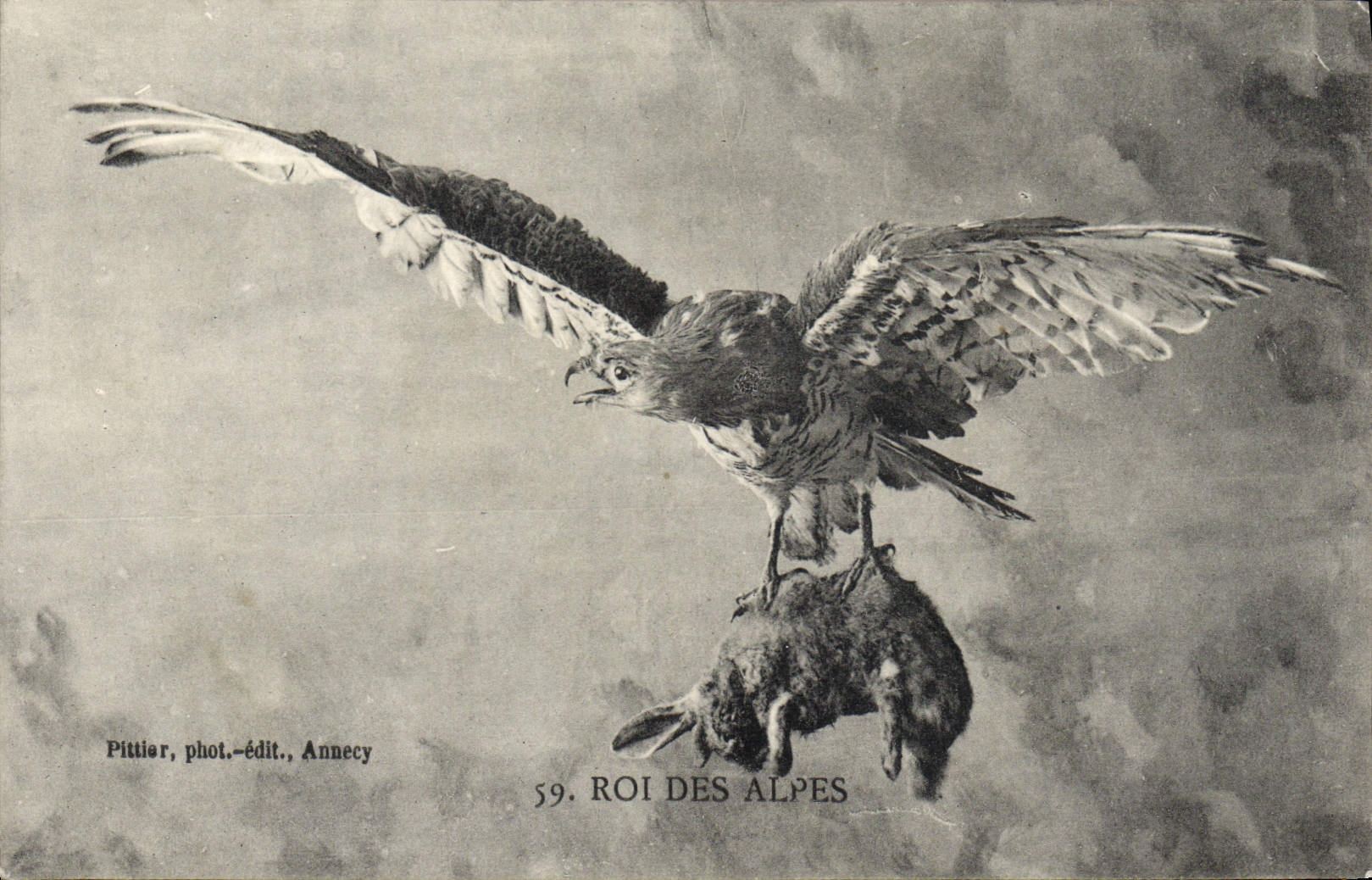 CPA Roi des Alpes Rapace Lapin 
