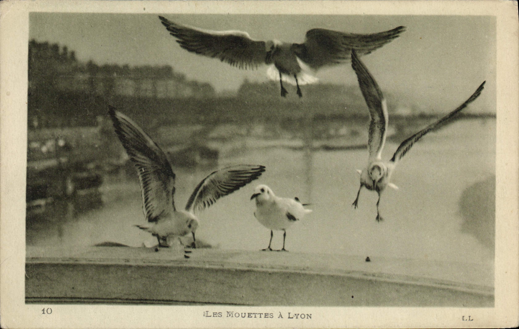 CPA Les mouettes a Lyon 