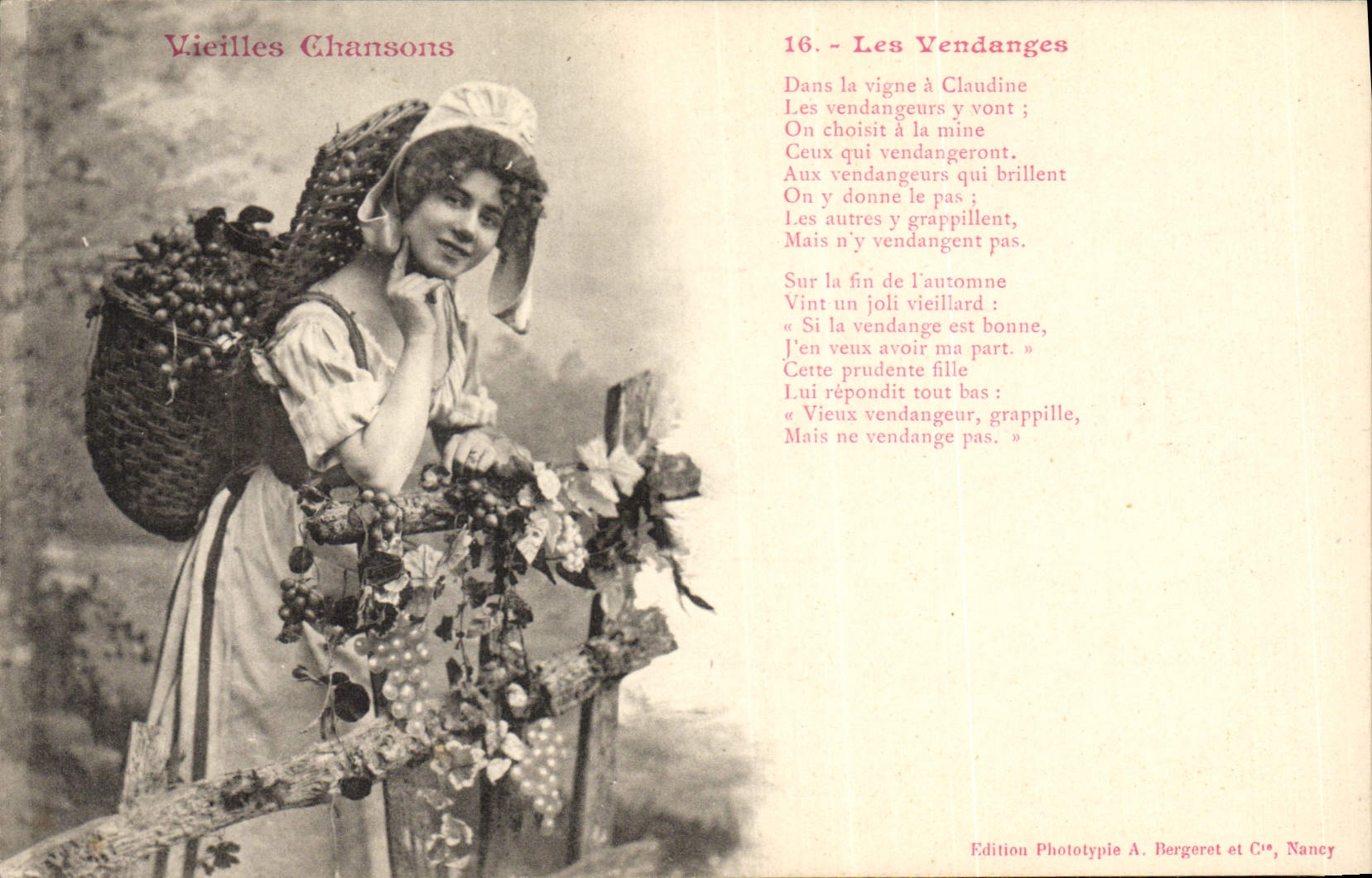 Vintage Postcard grape harvest