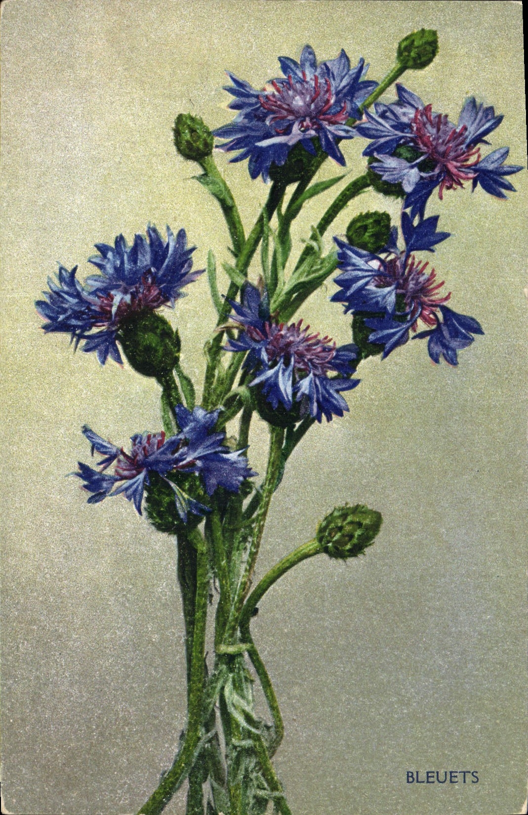 Postal Fantasia Flores Acianos