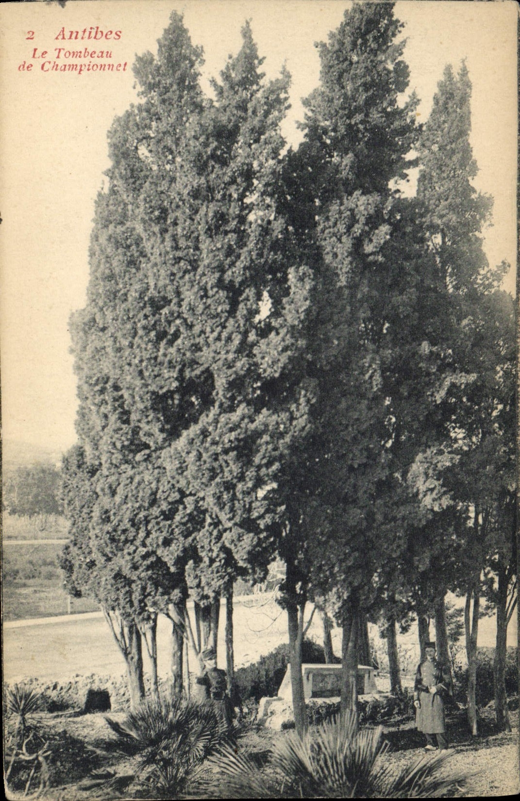 Vintage Postcard Antibes the tomb of Championnet
