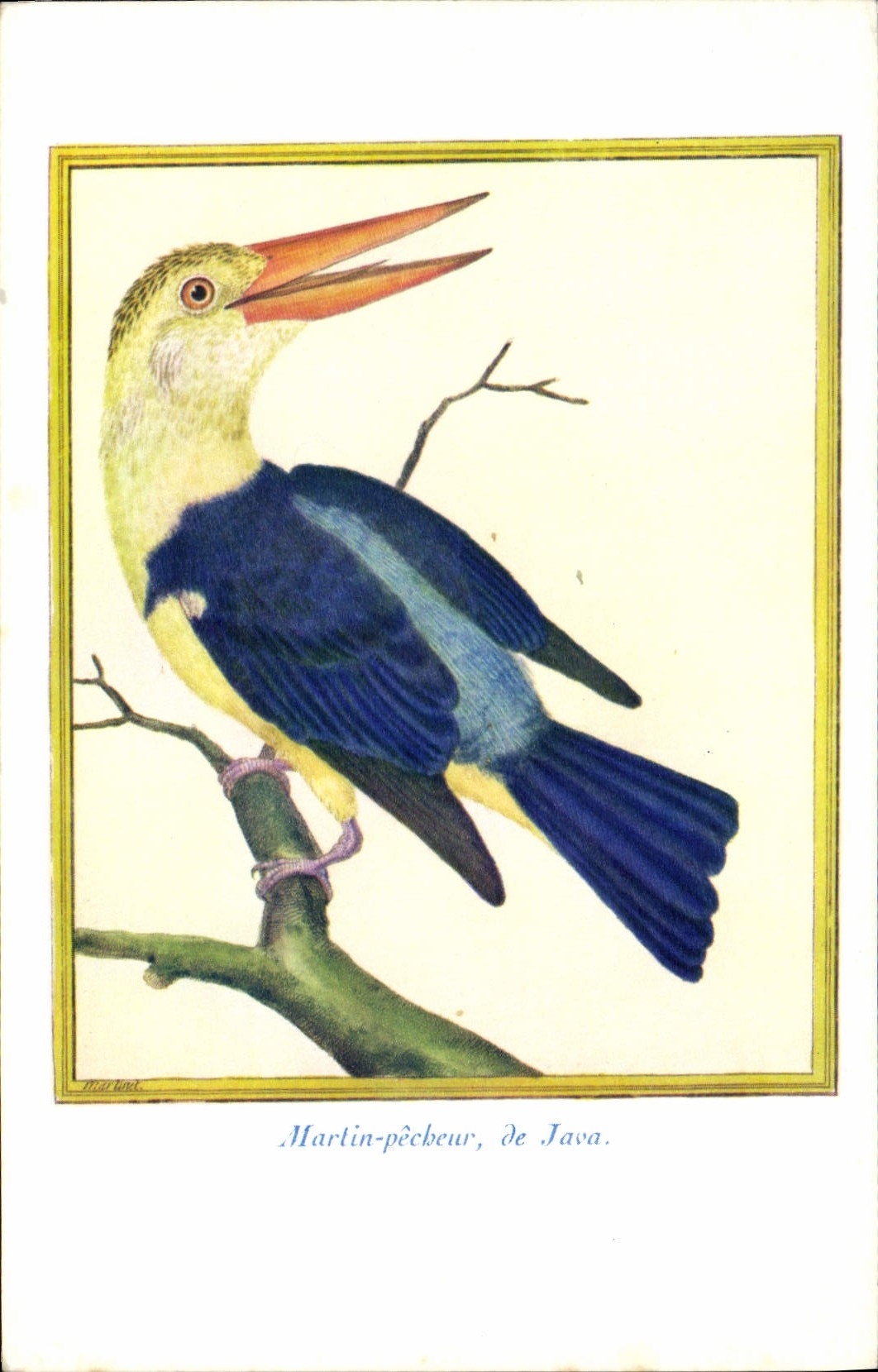 Vintage Postcard Sinning Martin of Java