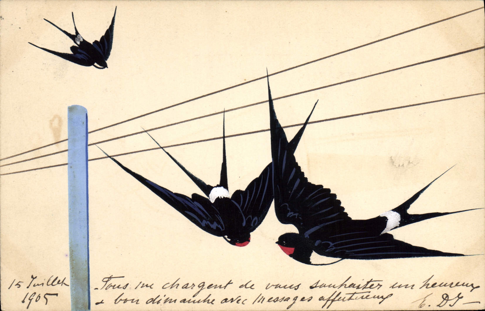 Vintage Postcard Swallows