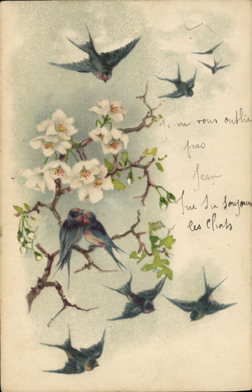 CPA Hirondelles 