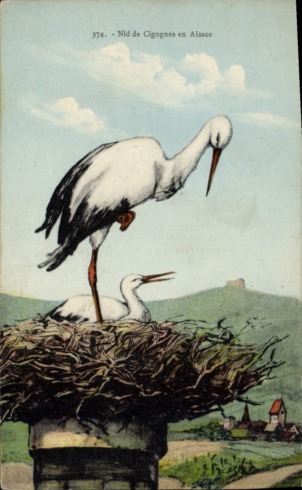 Vintage Postcard Nest of storks in Alsace