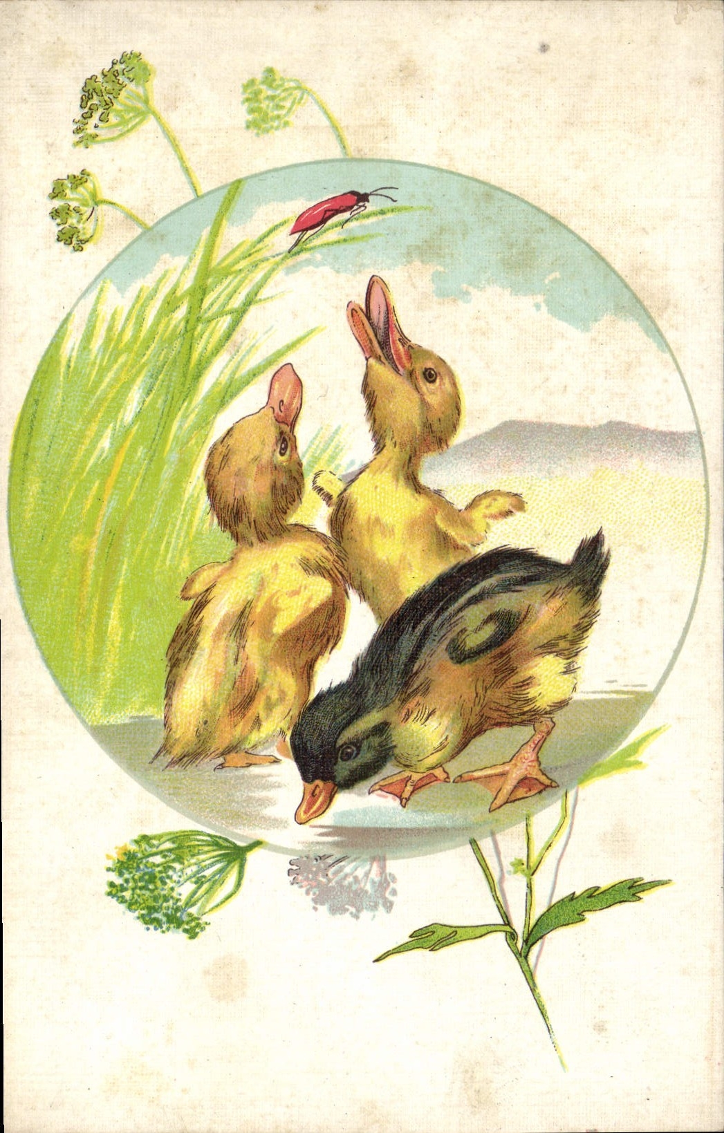 Vintage Postcard Ducks Ducklings