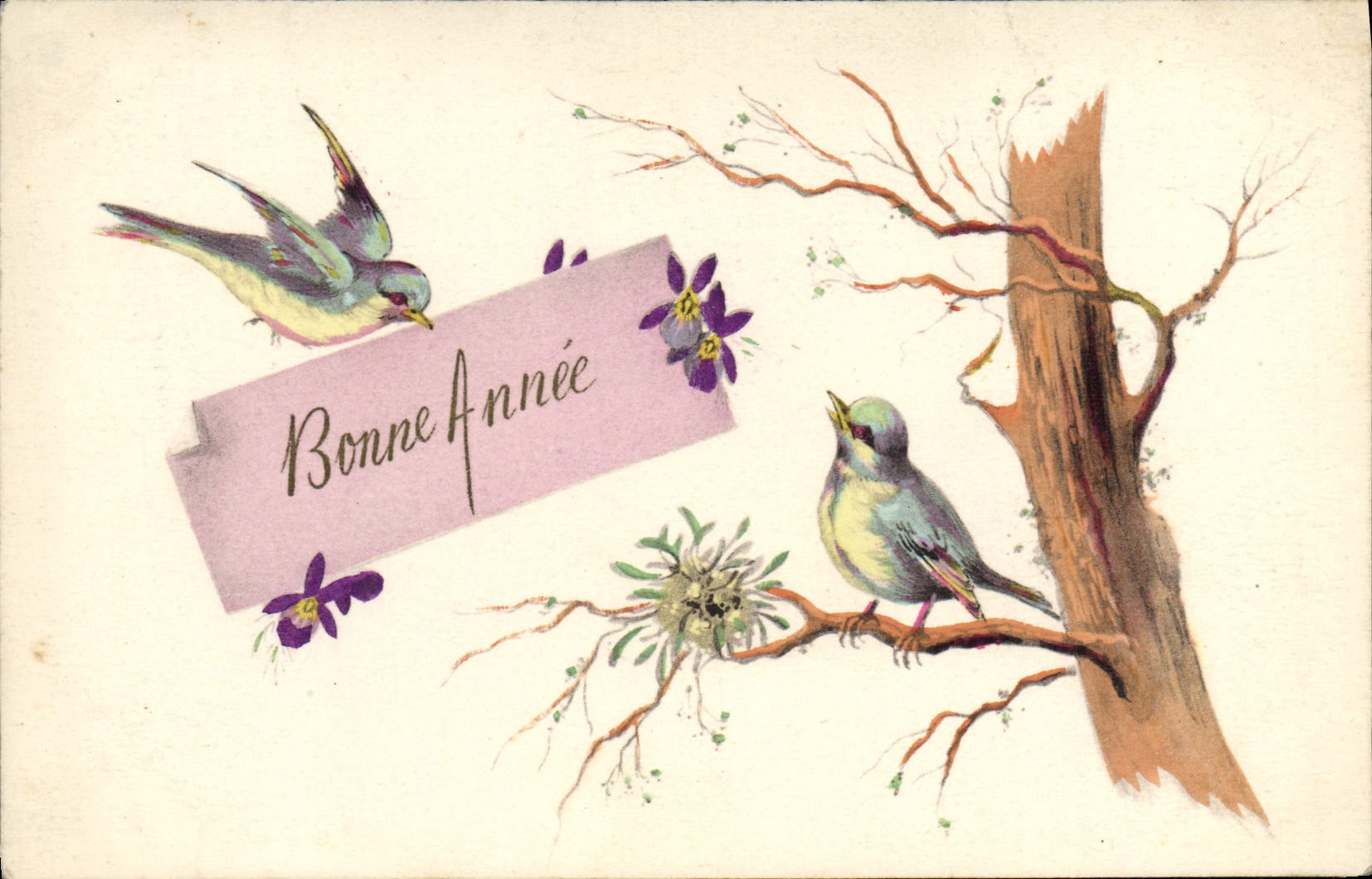 CPA Oiseaux 