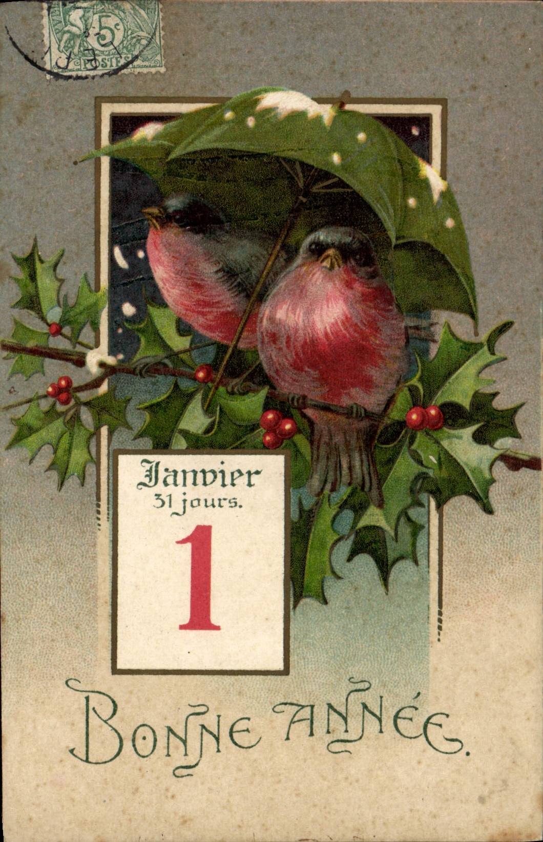 CPA Oiseaux 