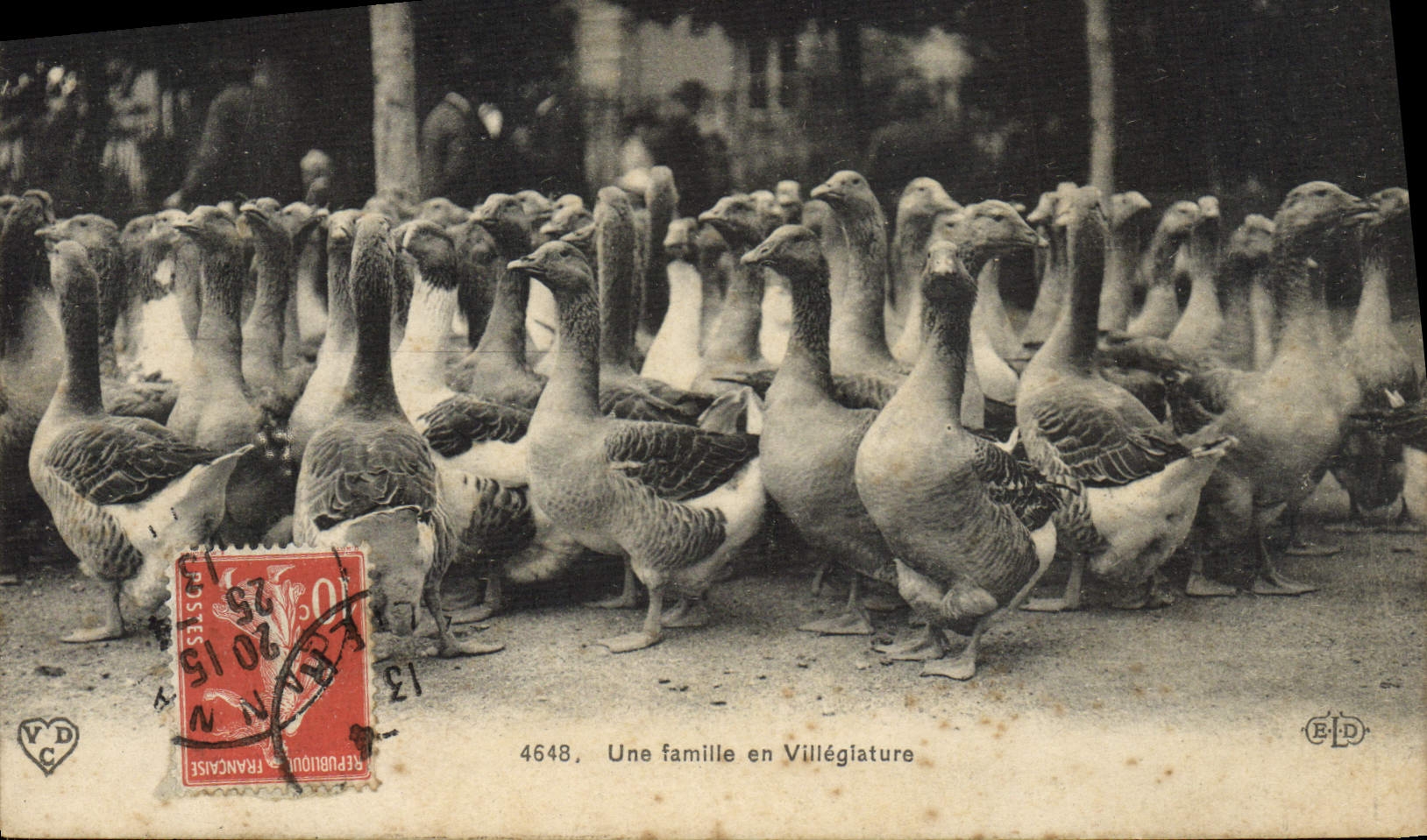 CPA Oies Une famille en villegiature 