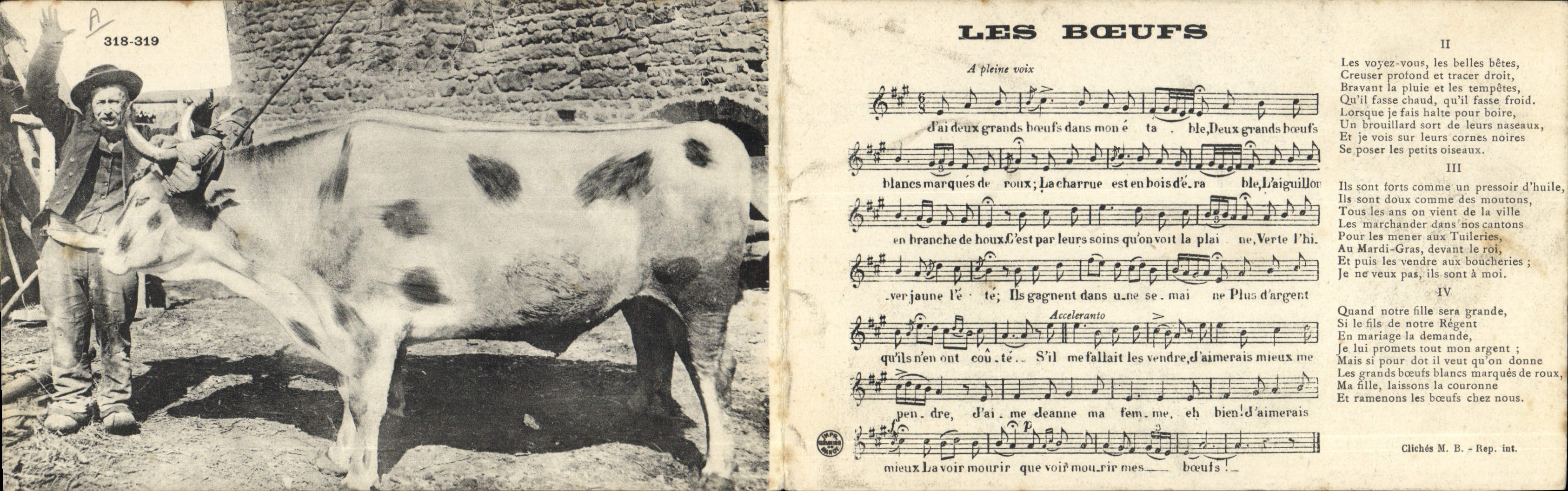 CPA DOUBLE Les boeufs 