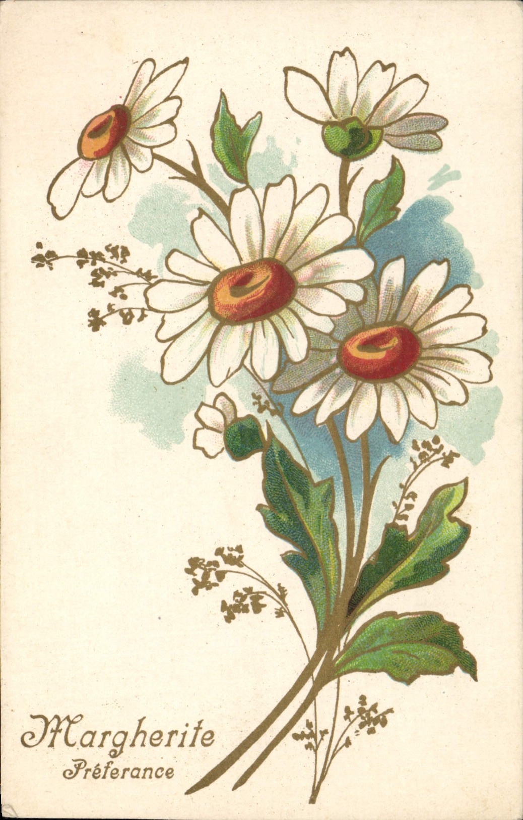 Vintage Postcard Fantasy Margherite Flowers