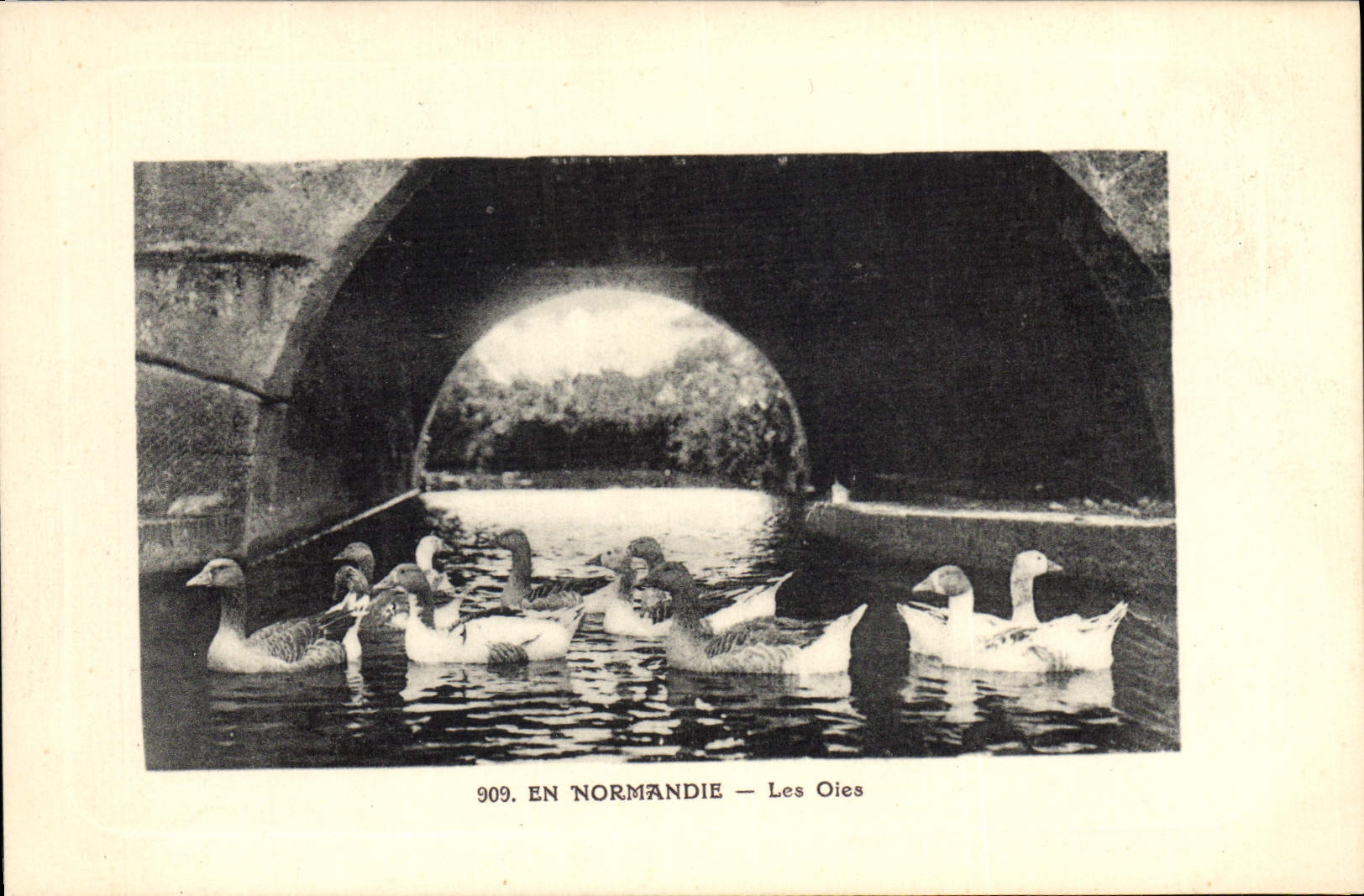 Vintage Postcard Birds In Normandy geese