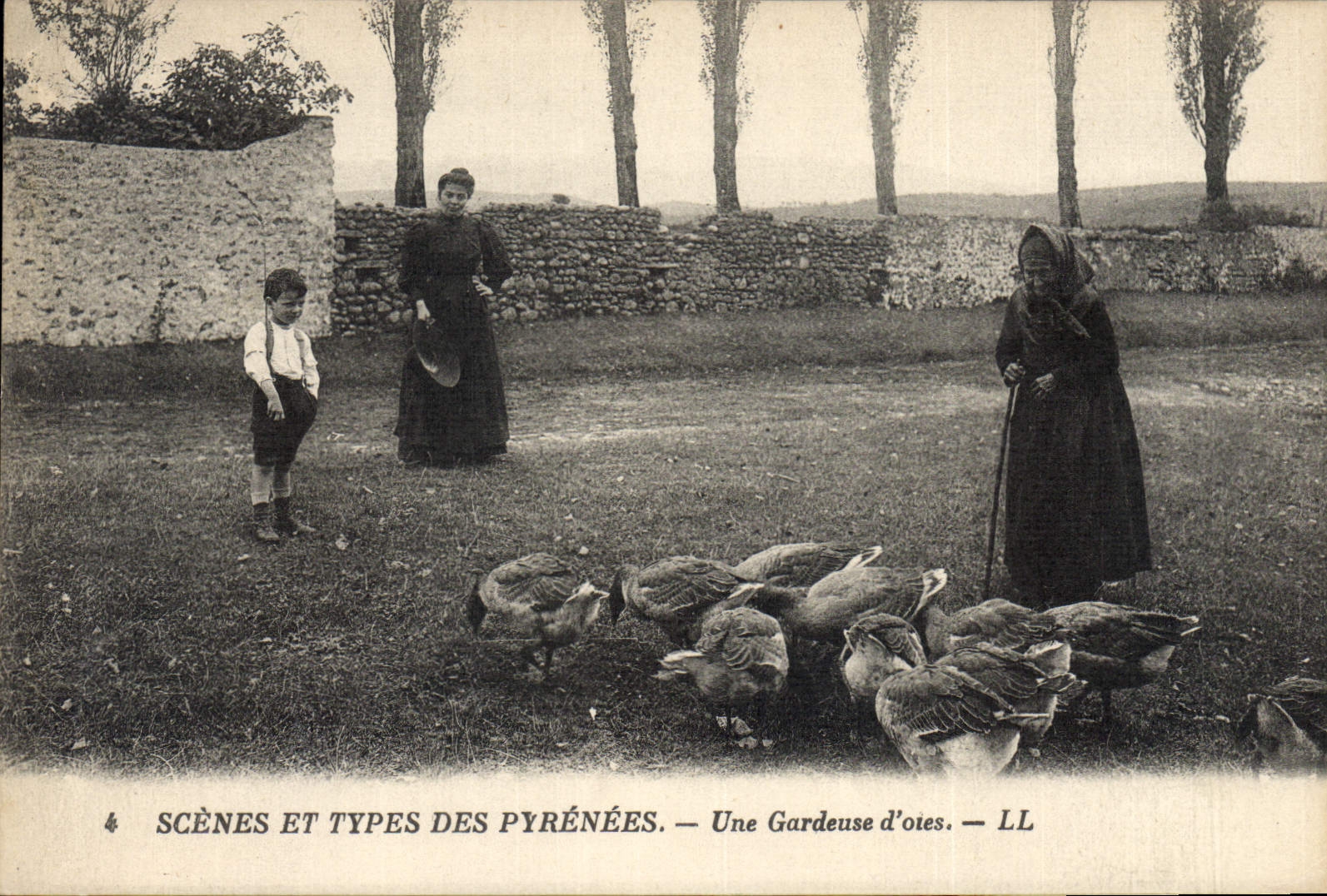 Vintage Postcard Pyrenees Birds gardeuse of geese Folklore