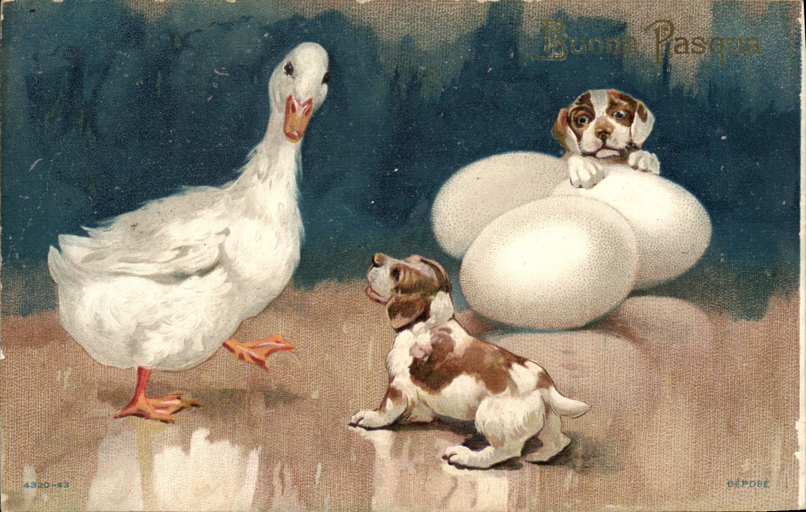 Vintage Postcard Birds Dog Dogs Eggs