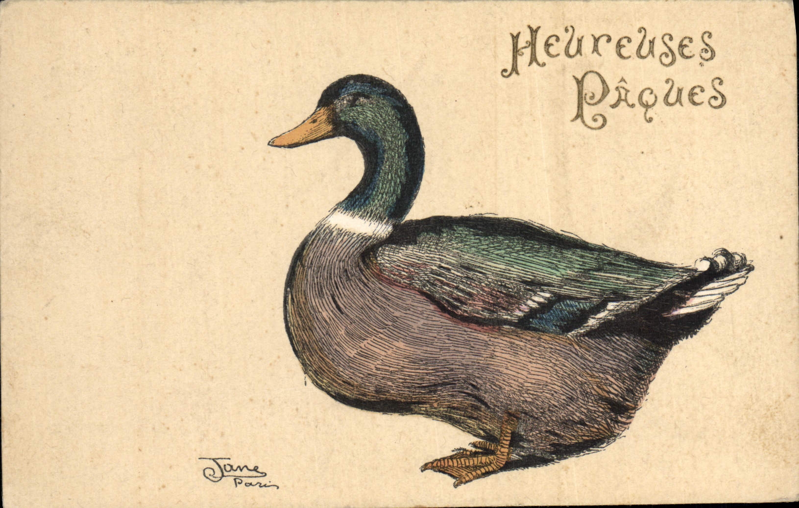 Vintage Postcard Birds Easter Duck