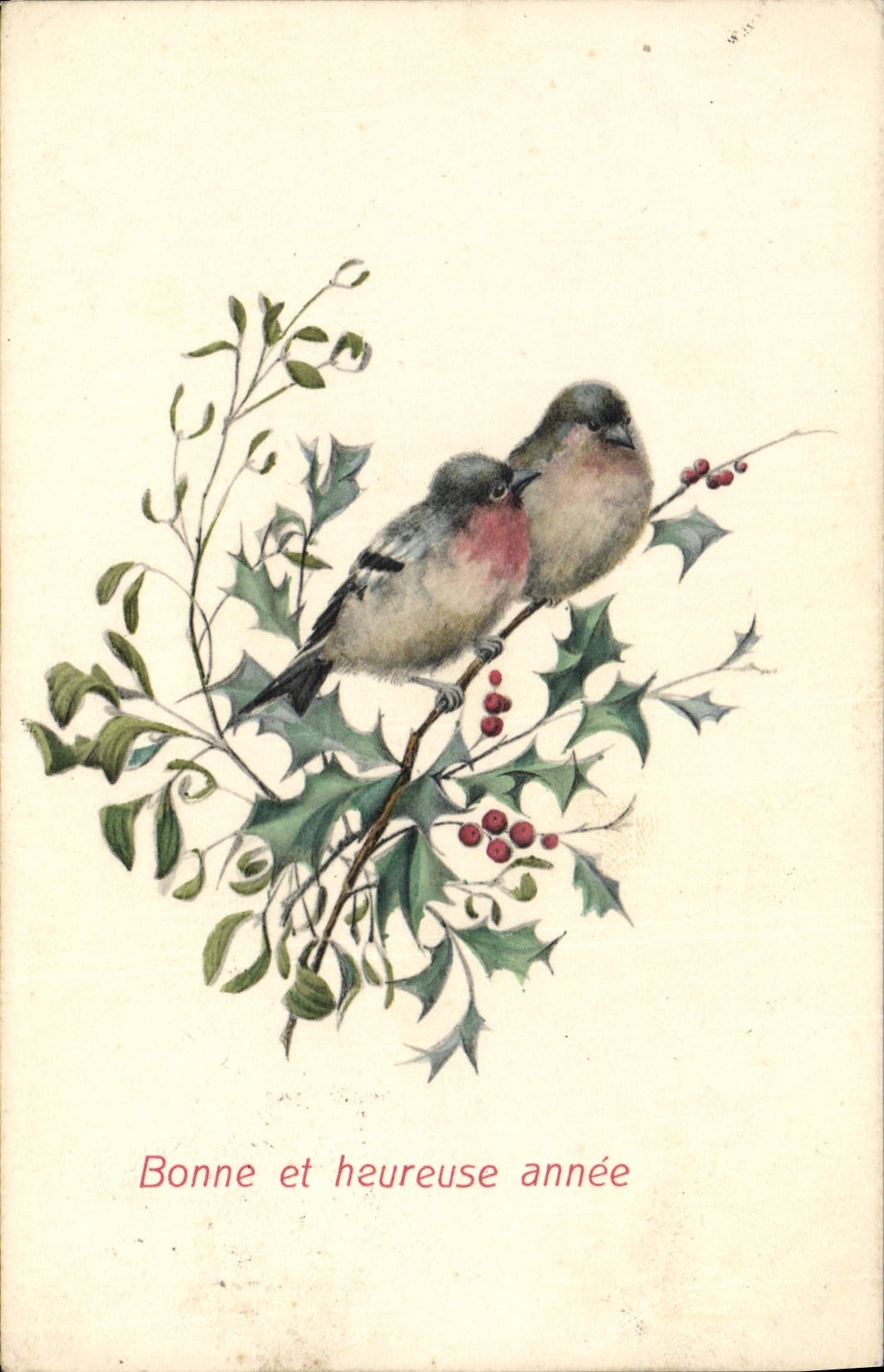 CPA Oiseaux 