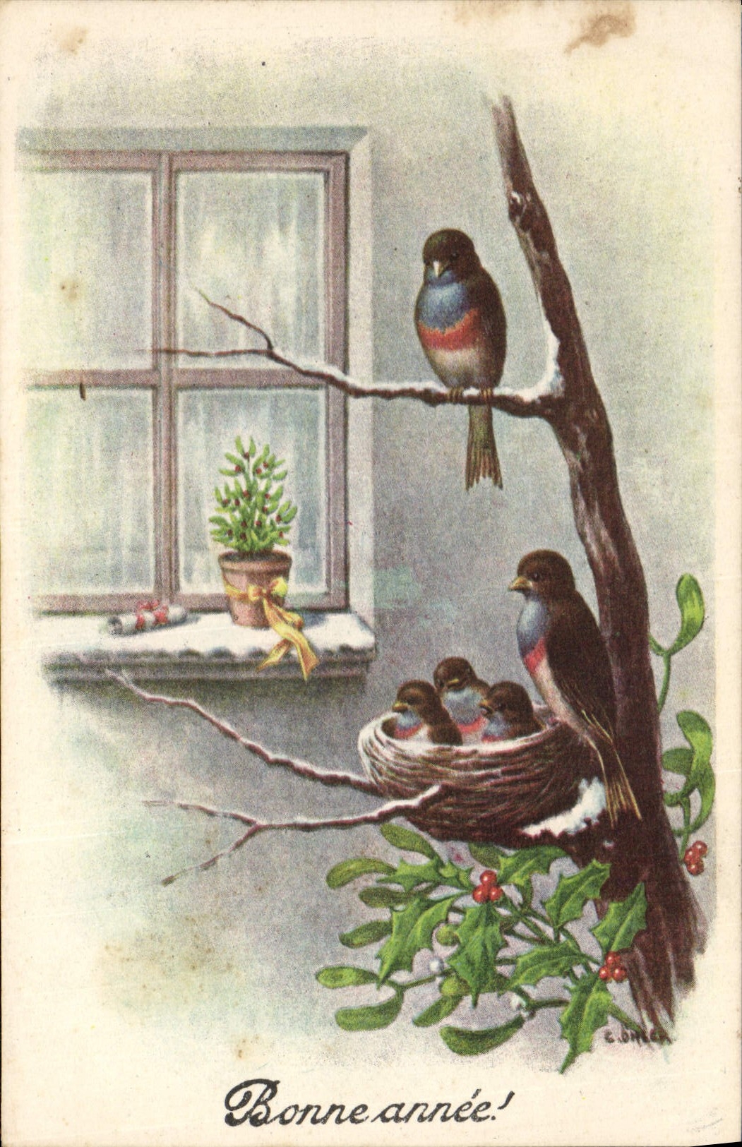 CPA Oiseaux 