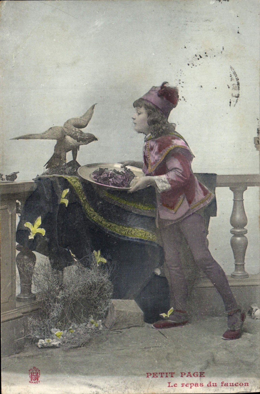 Vintage Postcard Birds Small Page the meal of the falcon Raptor