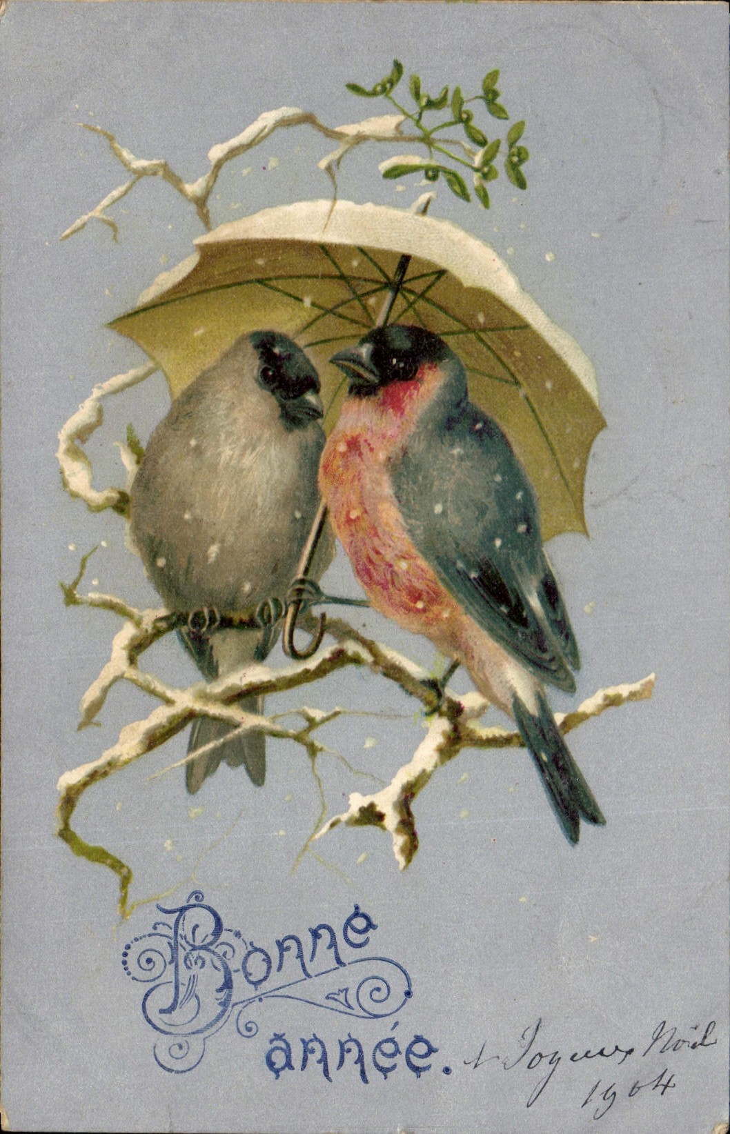 CPA Oiseaux 