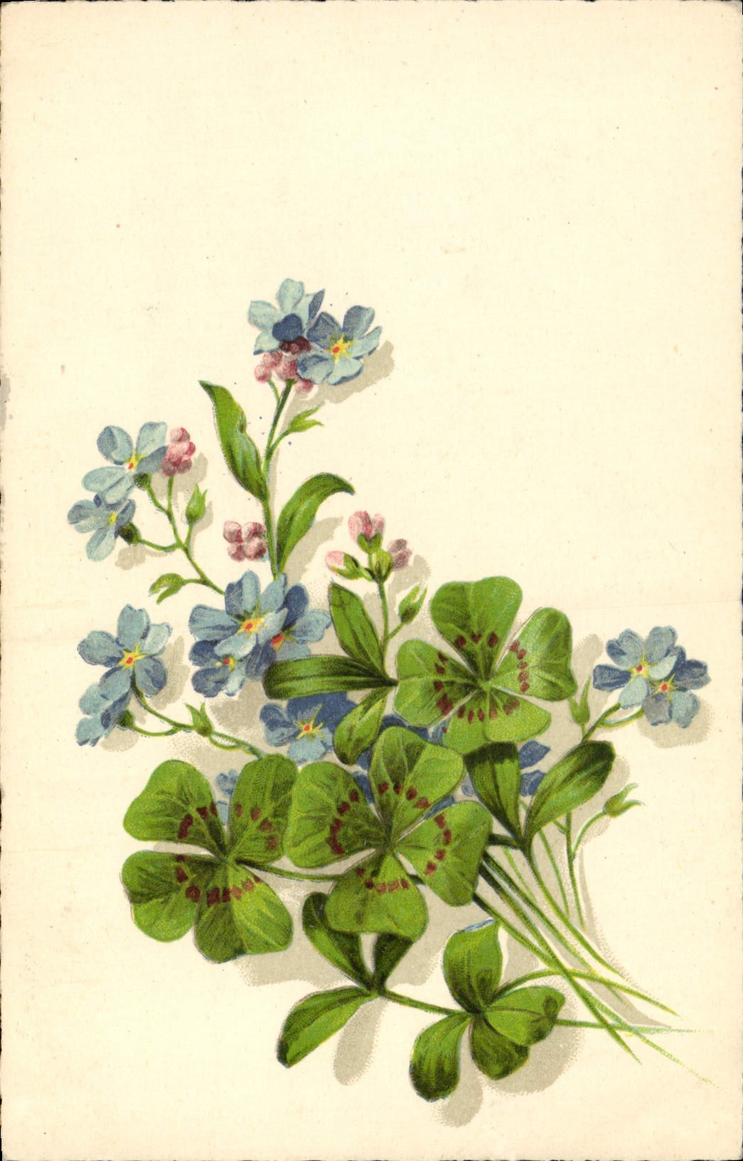 Vintage Postcard Flowers Clover