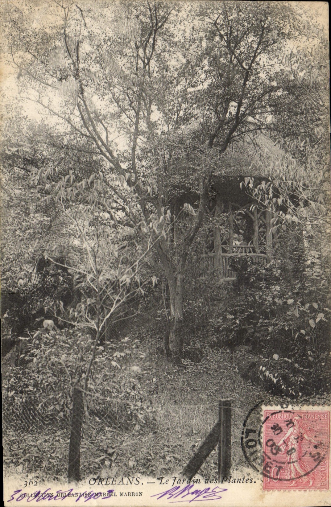 Vintage Postcard Orleans Flowers the botanical garden