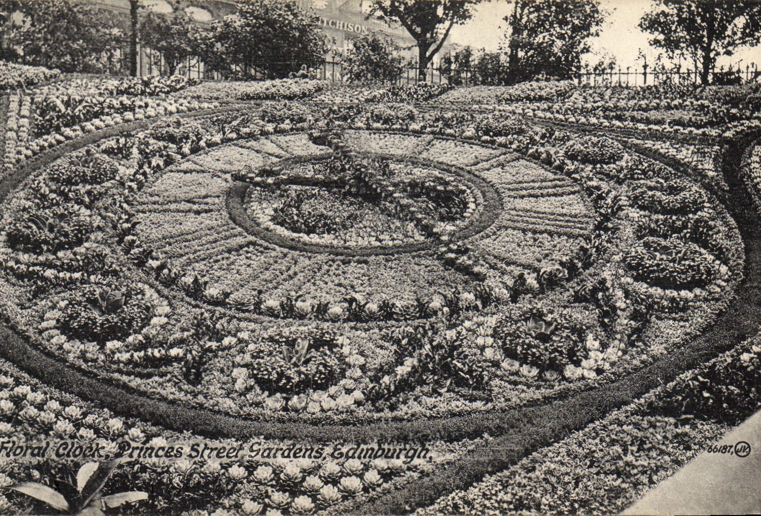 Vintage Postcard Flowers Floral Clock Princes street gardens Edinburgh
