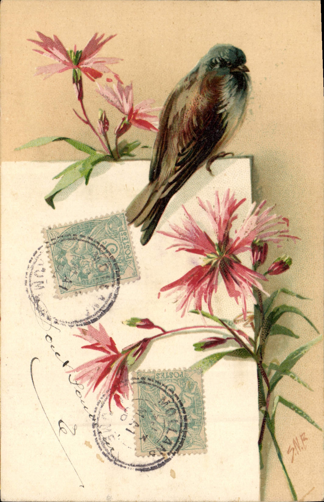 CPA Oiseau 