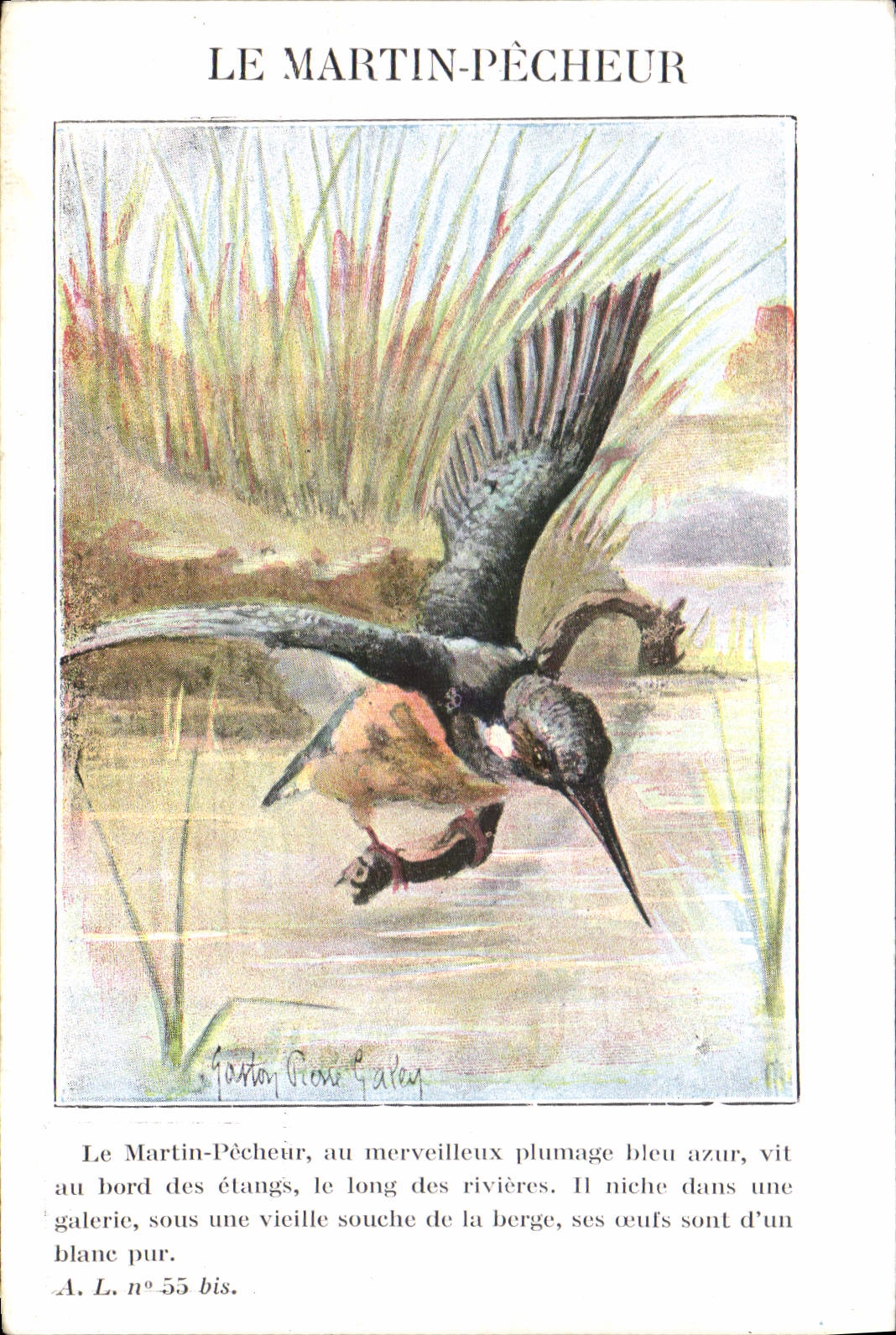 Vintage Postcard sinning Martin