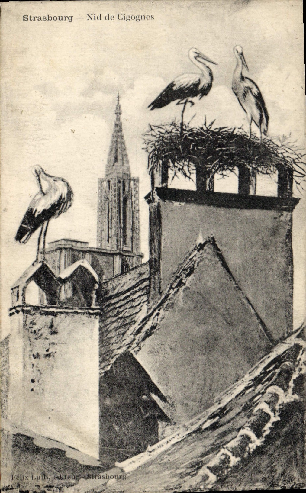 Vintage Postcard Strasbourg Nest of storks