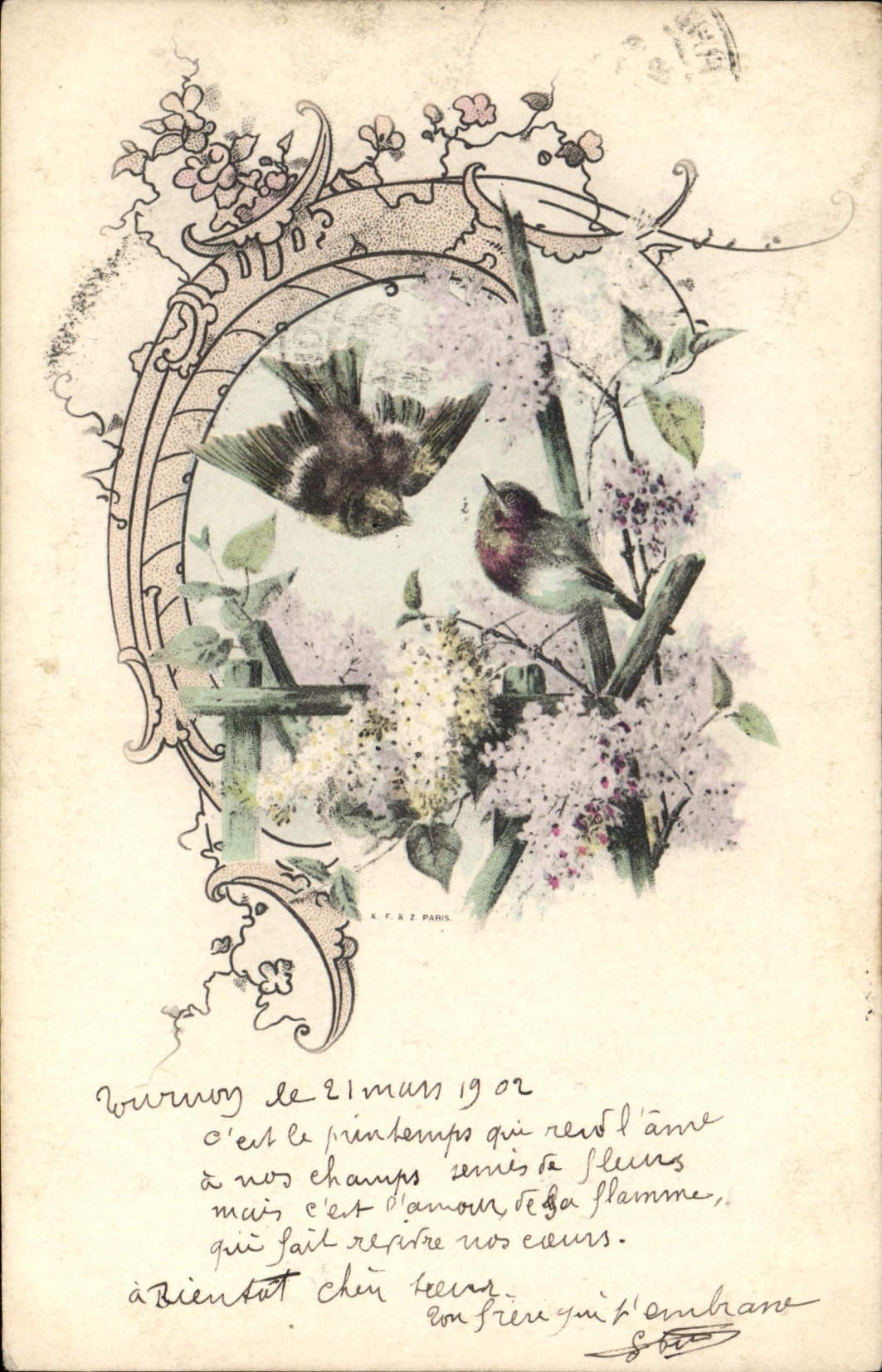CPA Oiseaux 