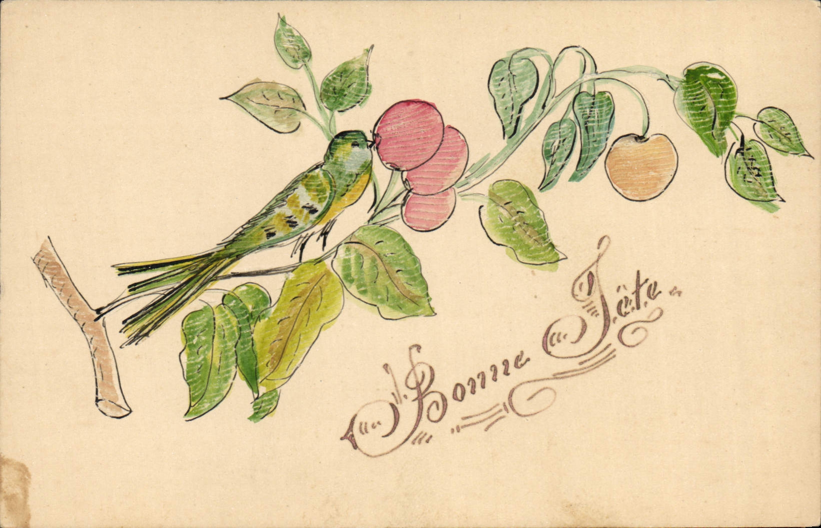 CPA Oiseau (dessin a la main) 