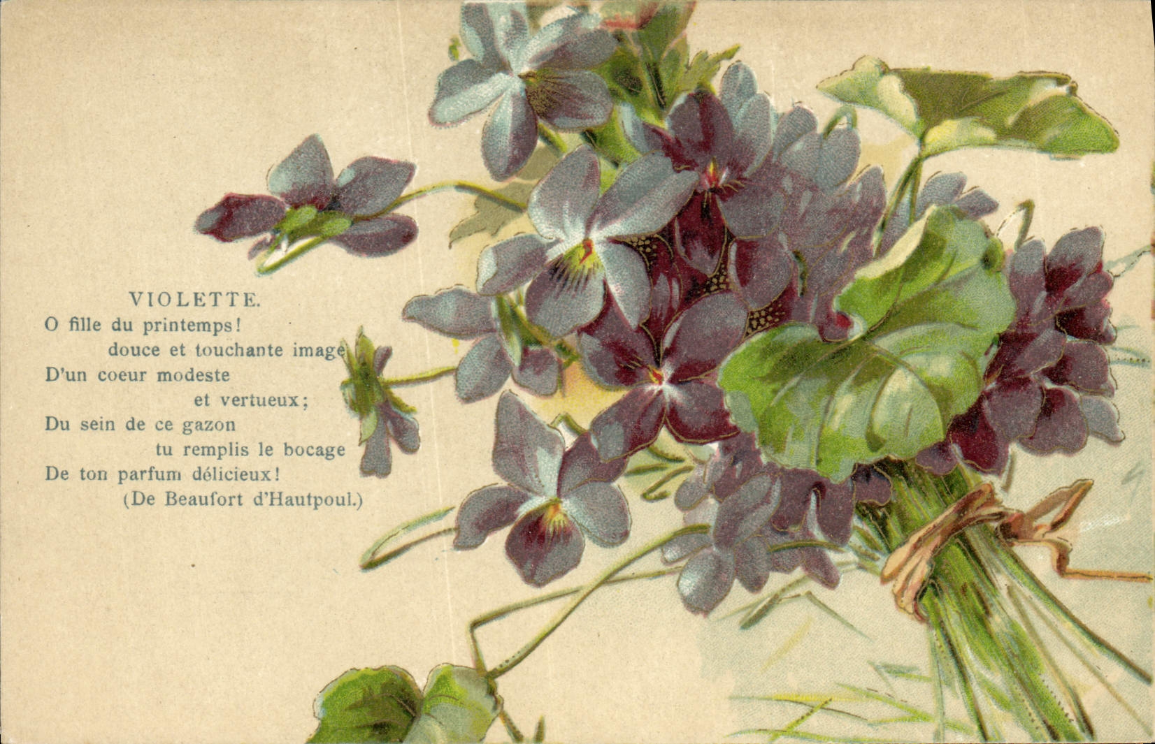 Vintage Postcard Fantasy Flowers Violet