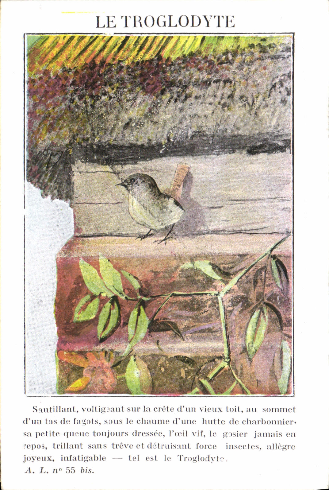 Vintage Postcard the troglodyte