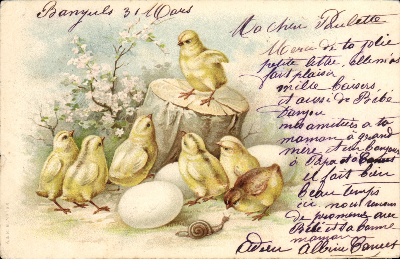 Vintage Postcard Chicks Snail