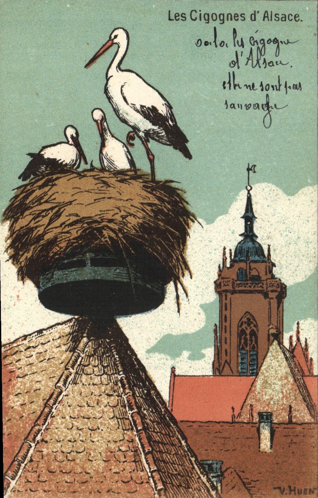 Vintage Postcard storks of Alsace