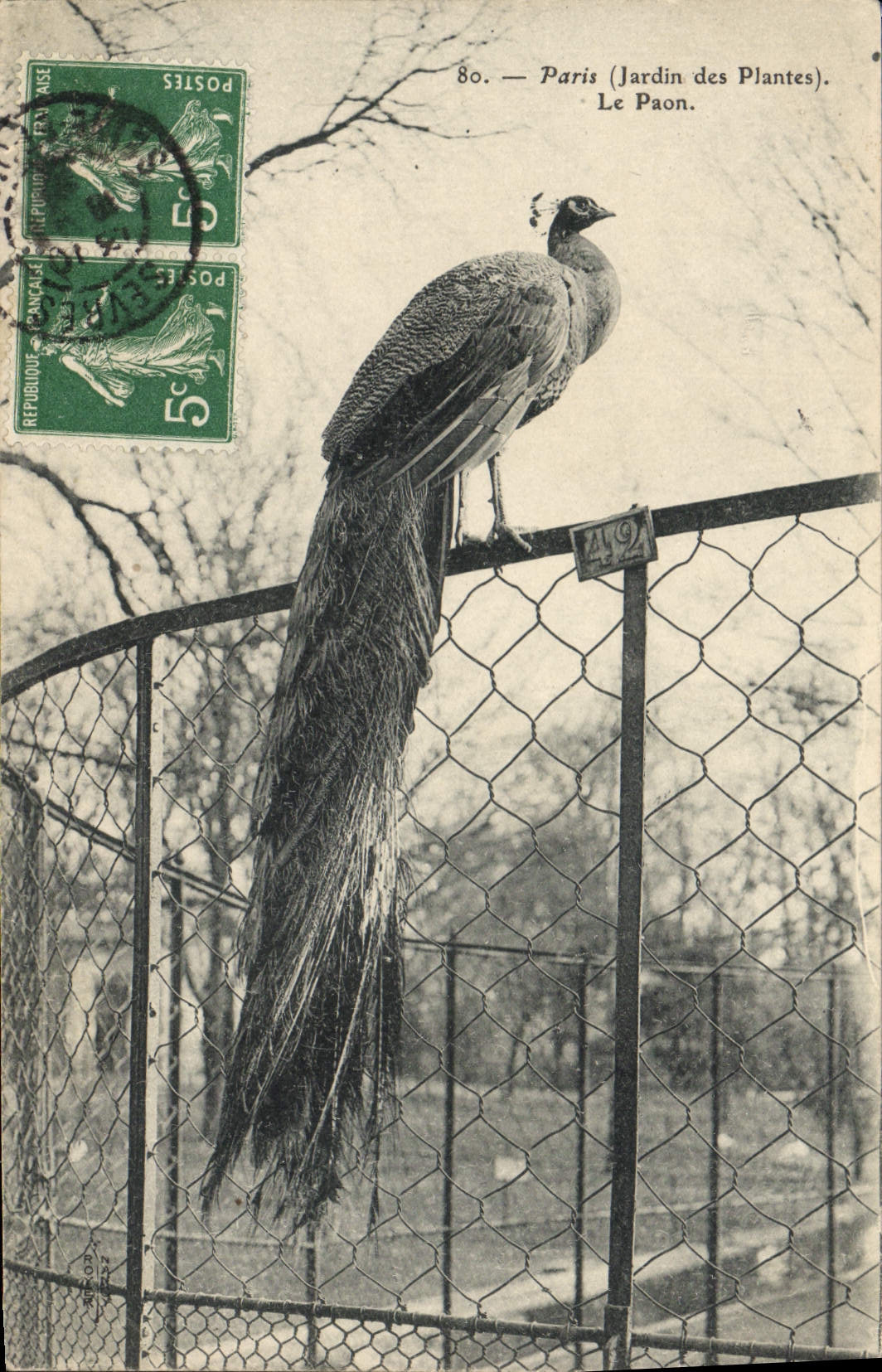 CPA Paris Jardin des Plantes Le paon 