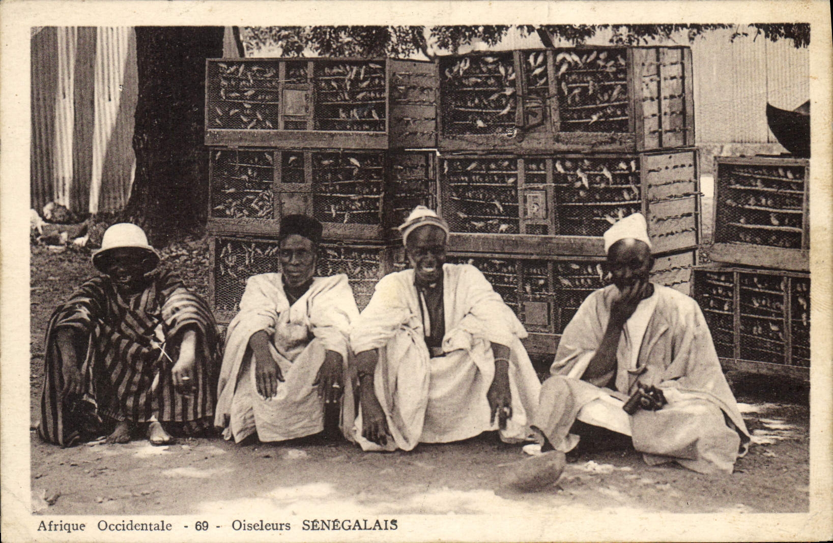 Vintage Postcard Senegal West Africa Senegalese Bird-catchers