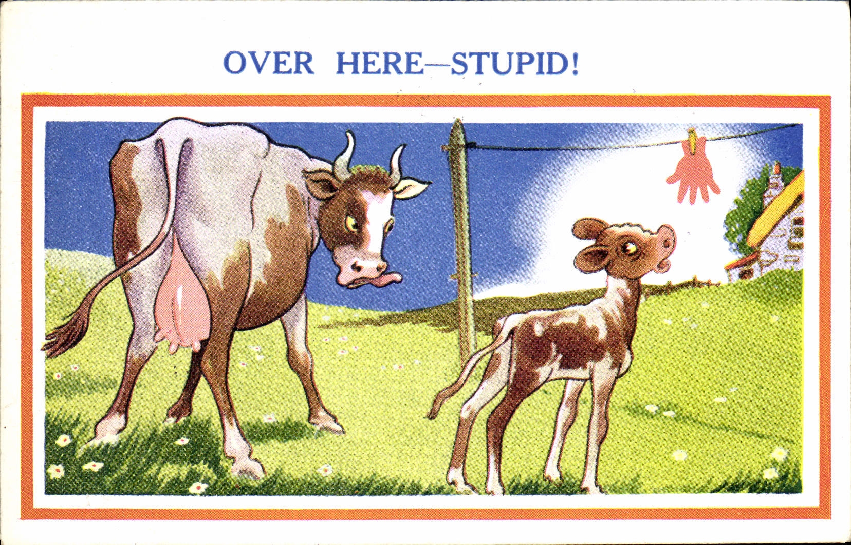 Vintage Postcard Fantasy Illustrator Cow Calf Over Stupid young stag!