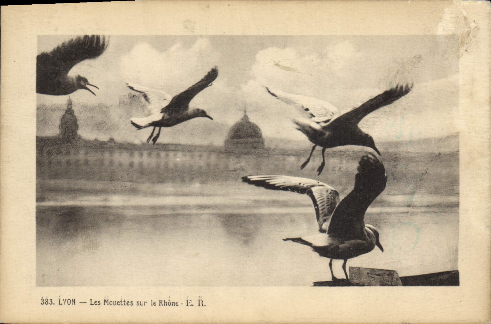 CPA Lyon Les mouettes sur le Rhone 