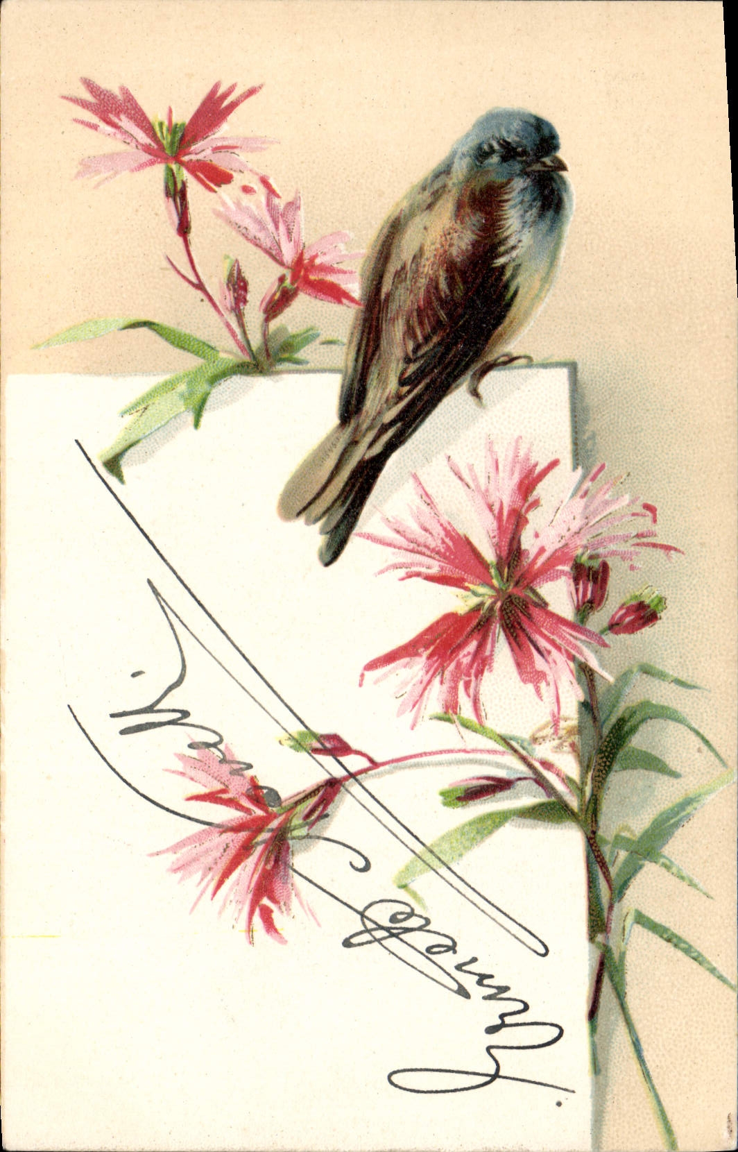 CPA Oiseau Fleurs 