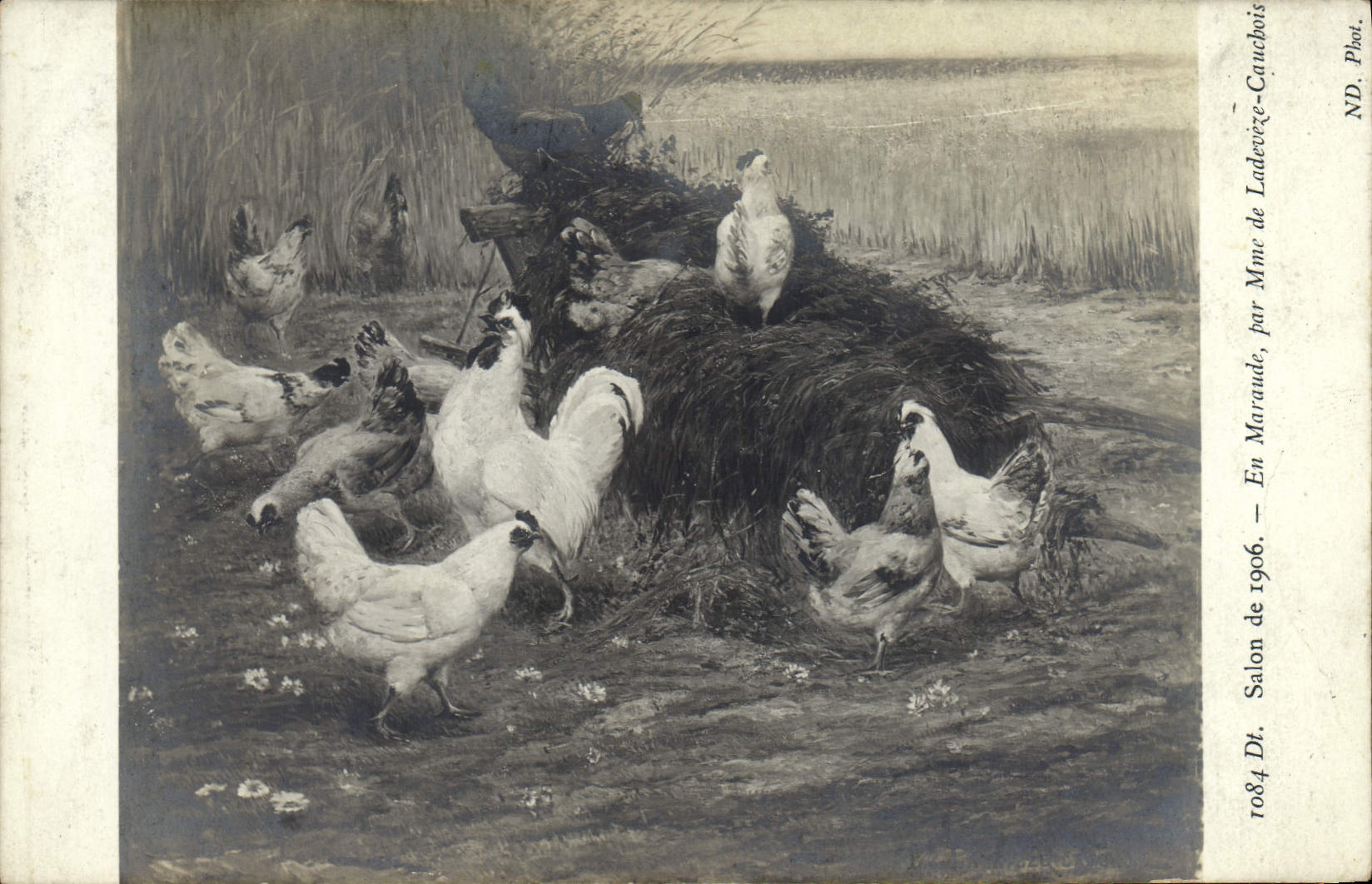 CPA Salon de 1906 En Maraude par Mme de Ladeveze Cauchois Poules 