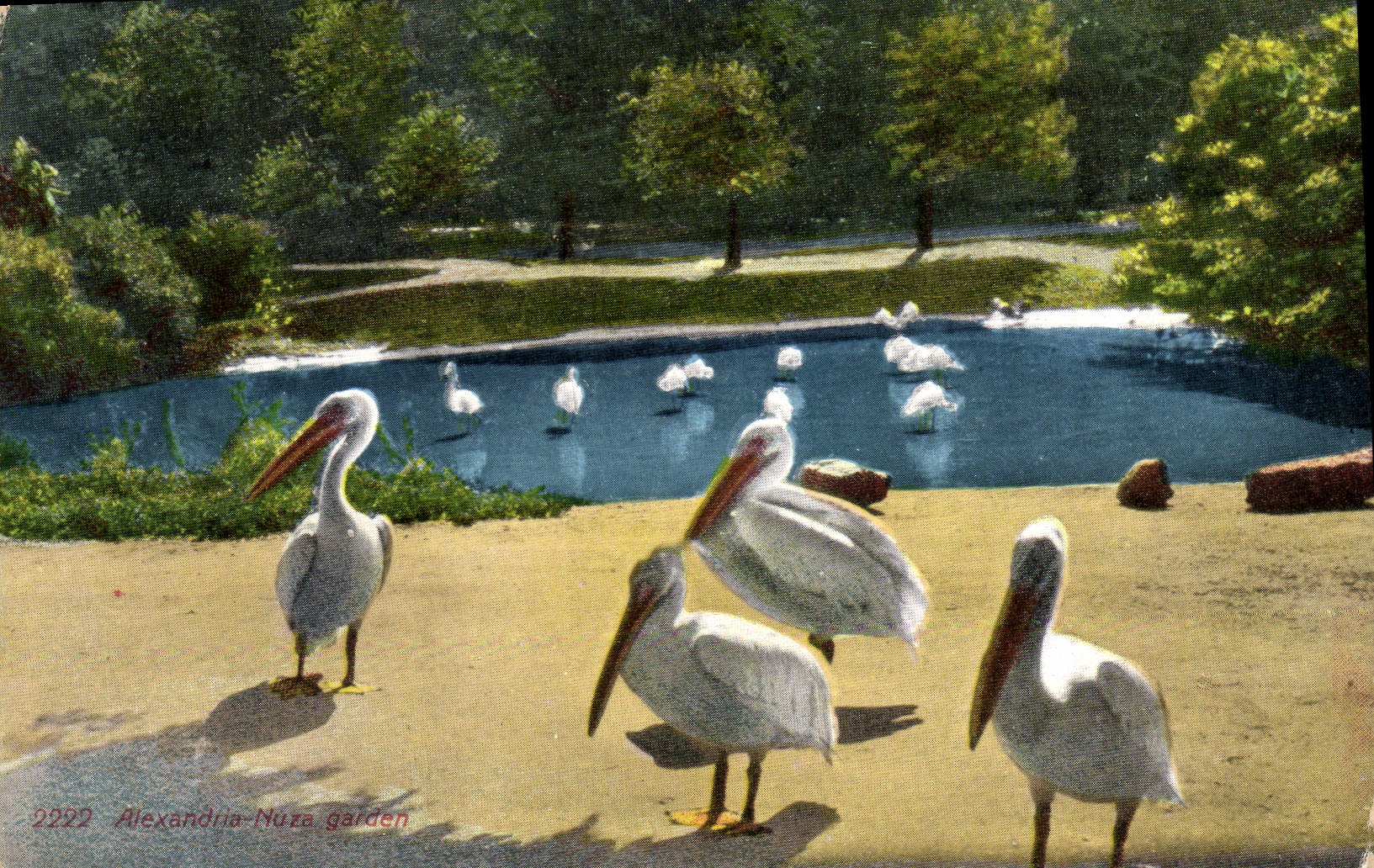 CPA Alexandria Le jardin Nuza Egypte Egypt 