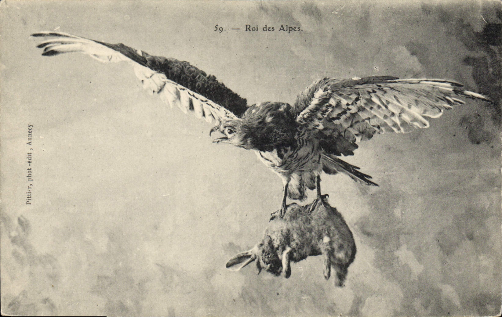 CPA Roi des Alpes Rapace 