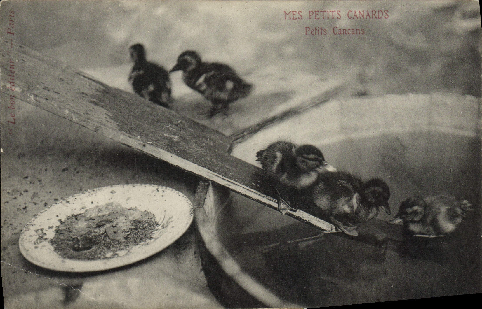 CPA Mes petits canards Petits cancans