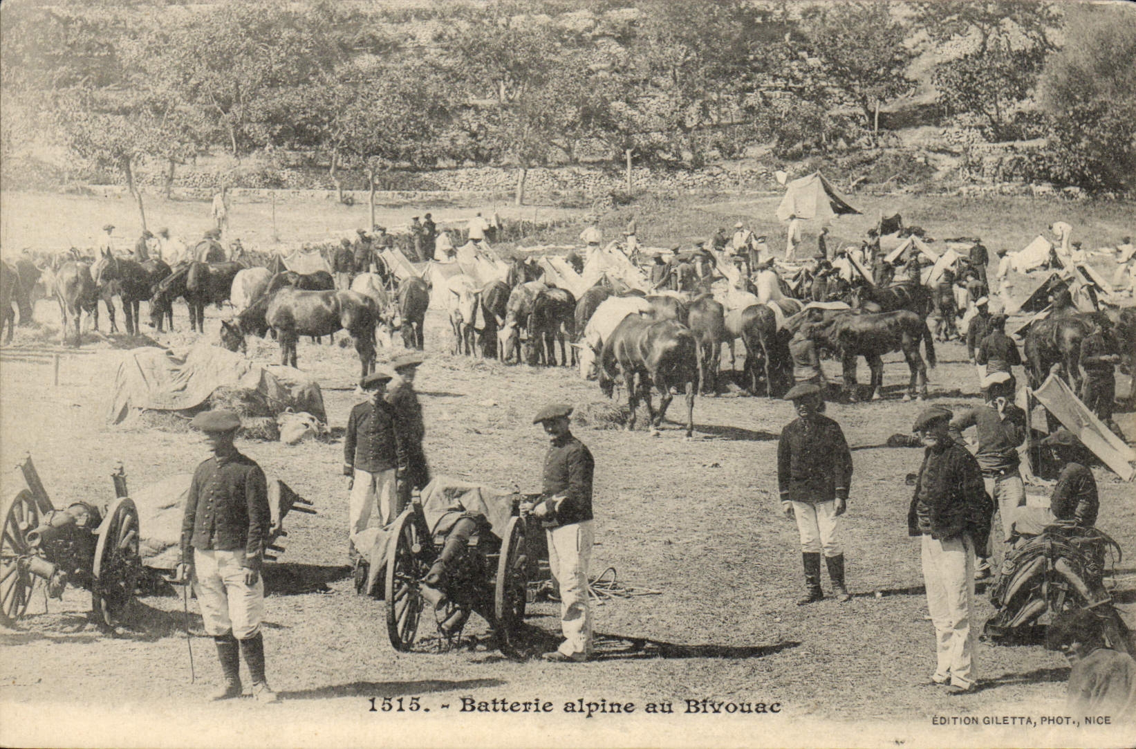CPA Militaria Chasseurs Alpins Batterie alpine au bivouac