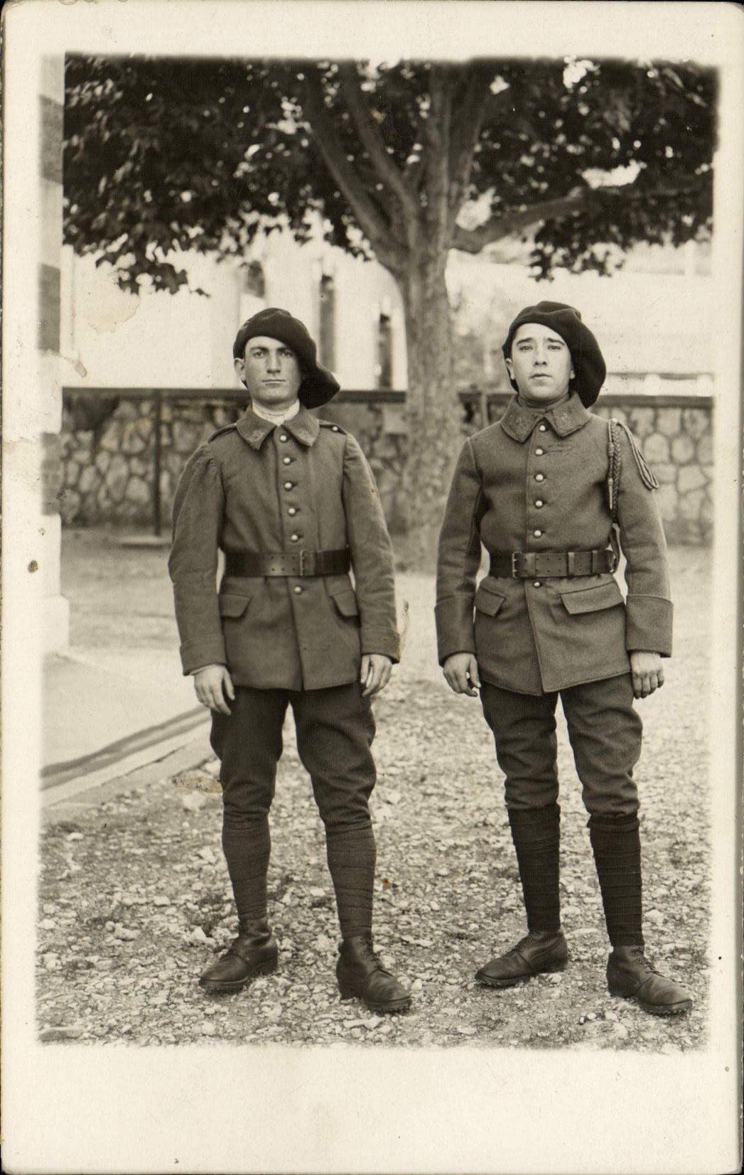 CARTE PHOTO Militaria Chasseurs Alpins (n°2 sur le col)